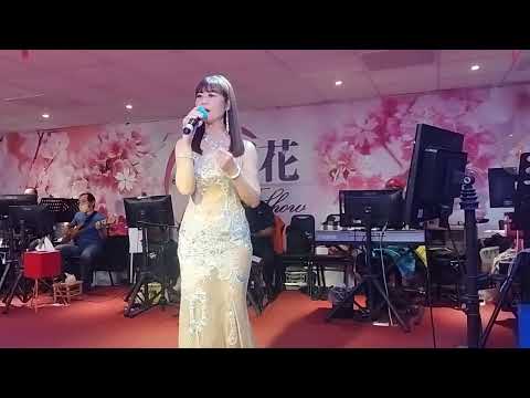黃色玫瑰 新櫻花音樂 春蘭演唱 原唱王孟麗