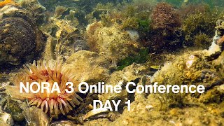 NORA 3 Online Conference - DAY 1