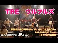 ばくのもの(YOU version) TRE ウルフルズ 『第66-回J-POP祭!~チョコミントよりもJ-POP〜』 2026年2月21日 (土) ライブハウス窓枠