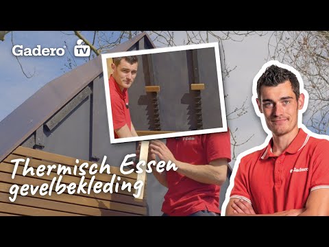 Video: Massief Houten Gevels: Grenen En Berken, Essen En Eiken, Italiaanse Gevels En Andere Productie