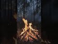Campfire crackling #shortsfeed #shortvideo #asmr #shorts