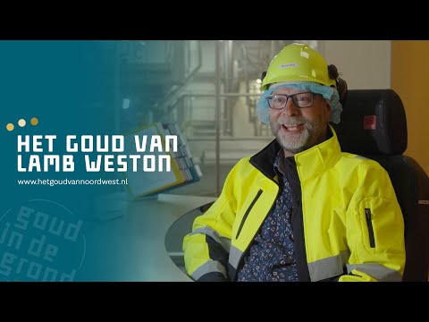 Het goud van | Lamb Weston