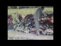 1950s  wayne county north carolina  home movie filmed by gene aycock  6