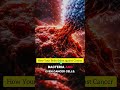 How your Body fight against cancer cells #immunesystem #immunesupport #cancer #cancerawareness #cel