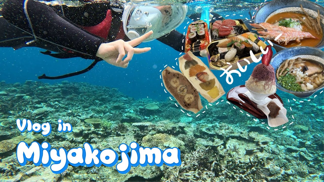 미야코지마에서는 야비지투어 필수 | 블루씰카페 | 마트쇼핑리스트 추천