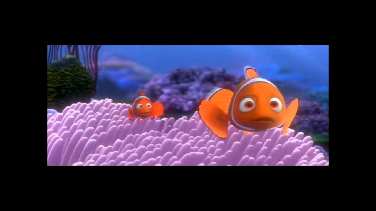 Finding nemo wow dvdrip