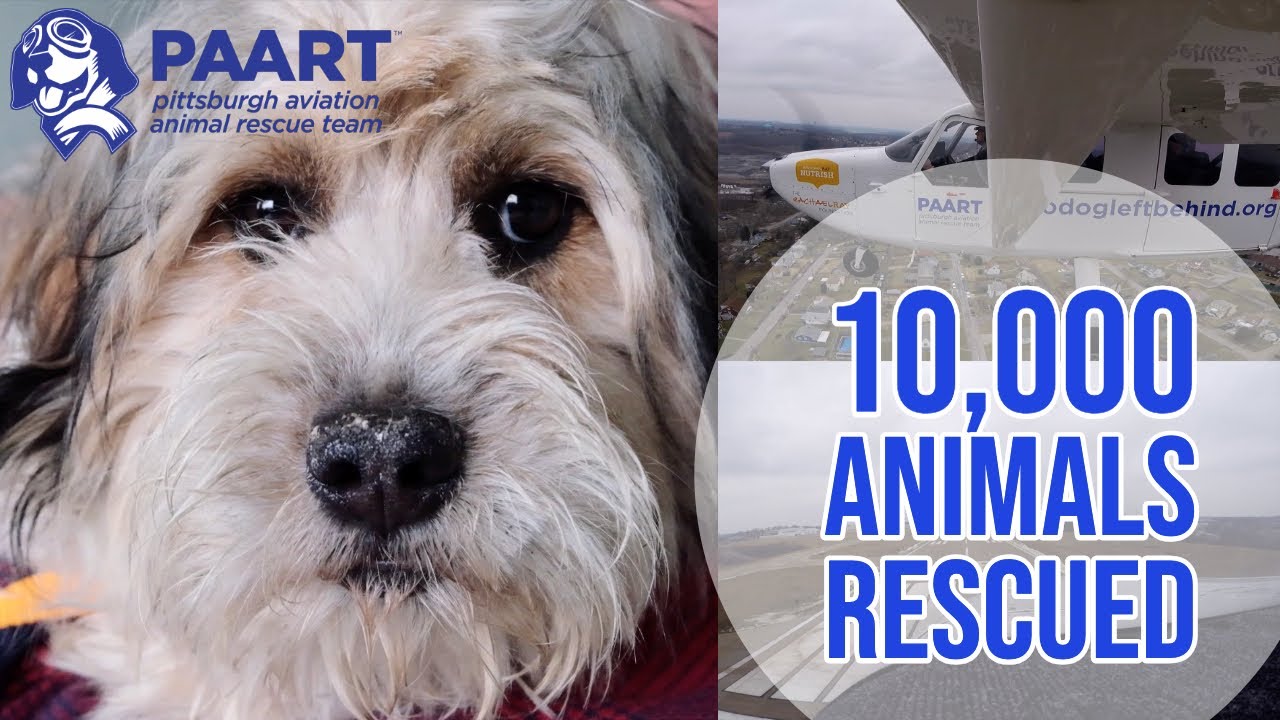 10,000 Animals Rescued: The Pittsburgh Aviation Animal Rescue Team