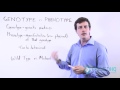 Genotype Versus Phenotype: Unraveling Genetic Expressions