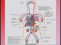 Как избавиться от гипертонической болезни? Эндорфинотерапия.