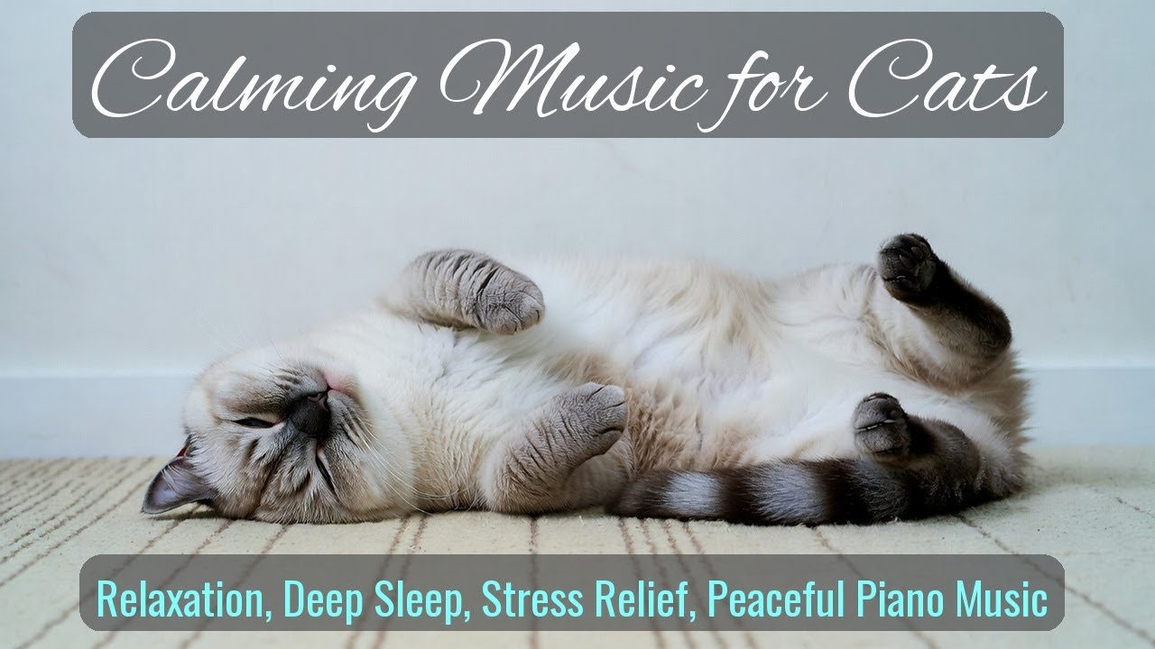 Calming Music for Cats - Relaxation, Deep Sleep, Stress Relief, Peaceful Piano Music | Season 57