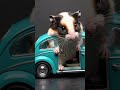 Tiny Hamster Driving a Turquoise Beetle 🚗🐹 | Cutest Short Ever!#HamsterDriver #Shorts #CuteAnimals