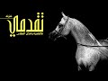 تقدمي فالملعبه وخذي الكاس خزنه اداء سعد محسن 2024 حصريا تقدمي فالملعبه وخذي الكاس خزنه اداء سعد محسن 2024 حصريا