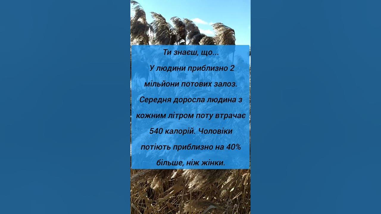 Цікаві факти про організм людини. Чоловіки і жінки - YouTube