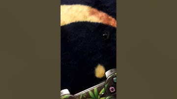 How to mod your ps3 controller for rapid fire black ops 2