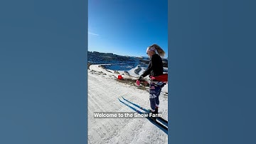Summer skiing in New Zealand with Jessie Diggins and Julia Kern 😍 #fiscrosscountry #snowfarm