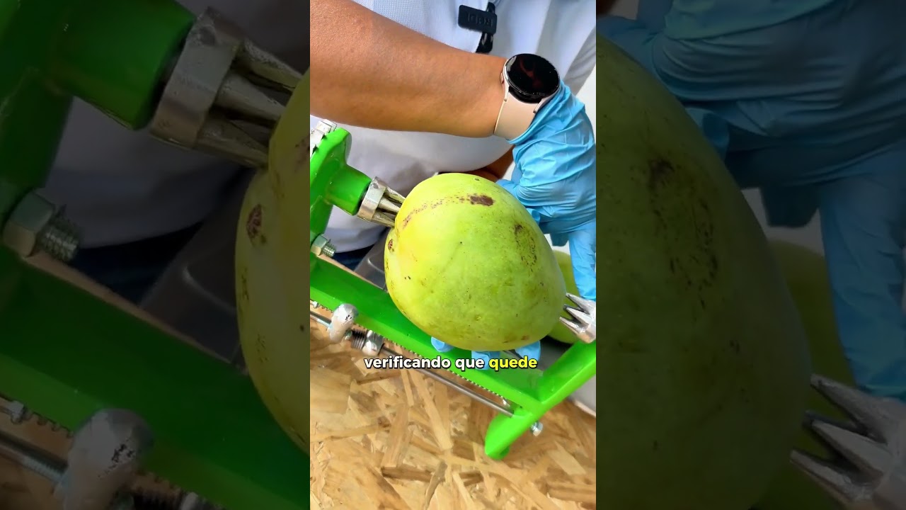 MAQUINA PARA CEVICHE DE MANGO, PROCESADORA DE MANGO EN ESPIRAL.