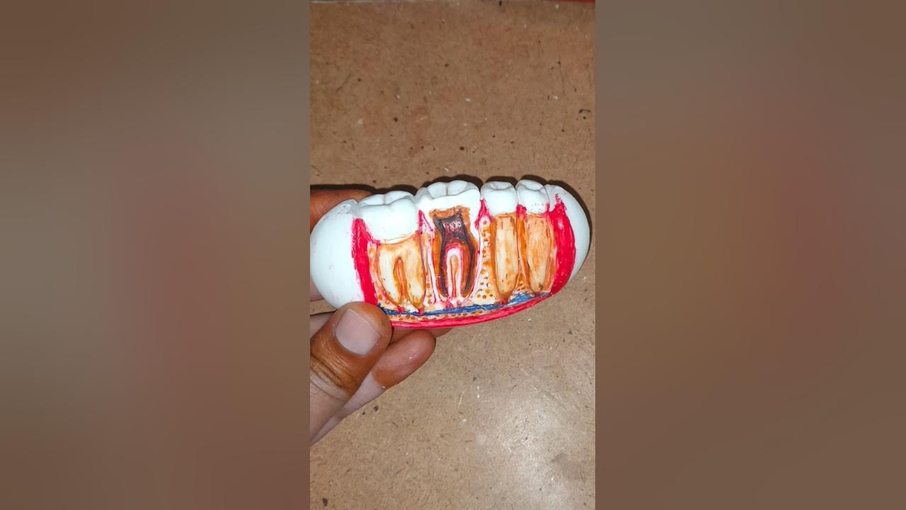 soap carving /teeth carving // watch full video on https//youtu.be