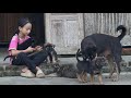 Ngoc Han grinds corn kernels to feed the chickens, cooks, and takes care of the dogs.
