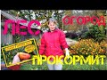 В ТЯЖЁЛЫЕ ВРЕМЕНА ЛЕС И ОГОРОД ПРОКОРМИТ. ДЕЛА ОГОРОДНЫЕ.