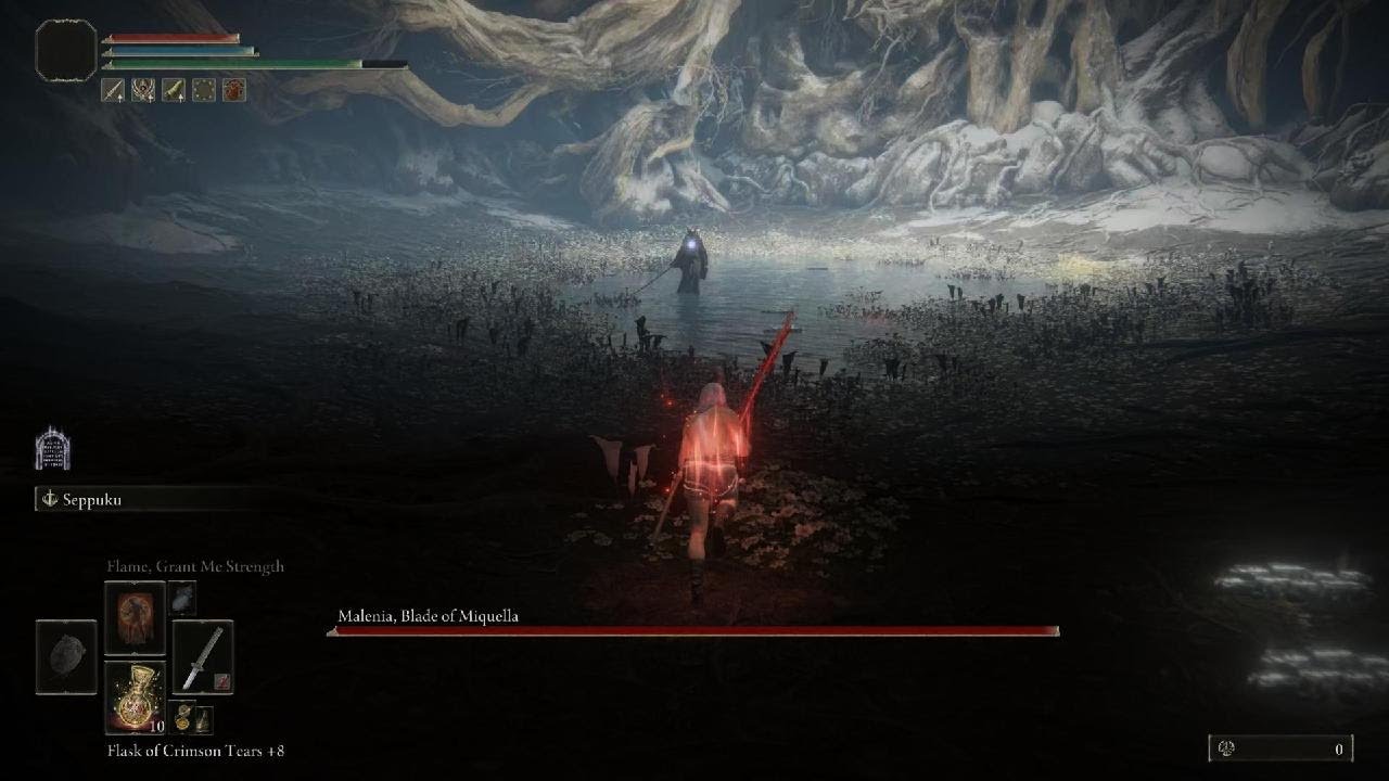 ELDEN RING_ waterfall cancelled final YouTube