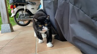 「帰るよ〜」と言われたらちゃんと帰る
