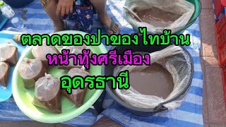 ตลาดของป่าของไทบ้านทุ่งศรีเมืองอุดรธานีมีของป่าของชาวบ้านมาขายมากมาย