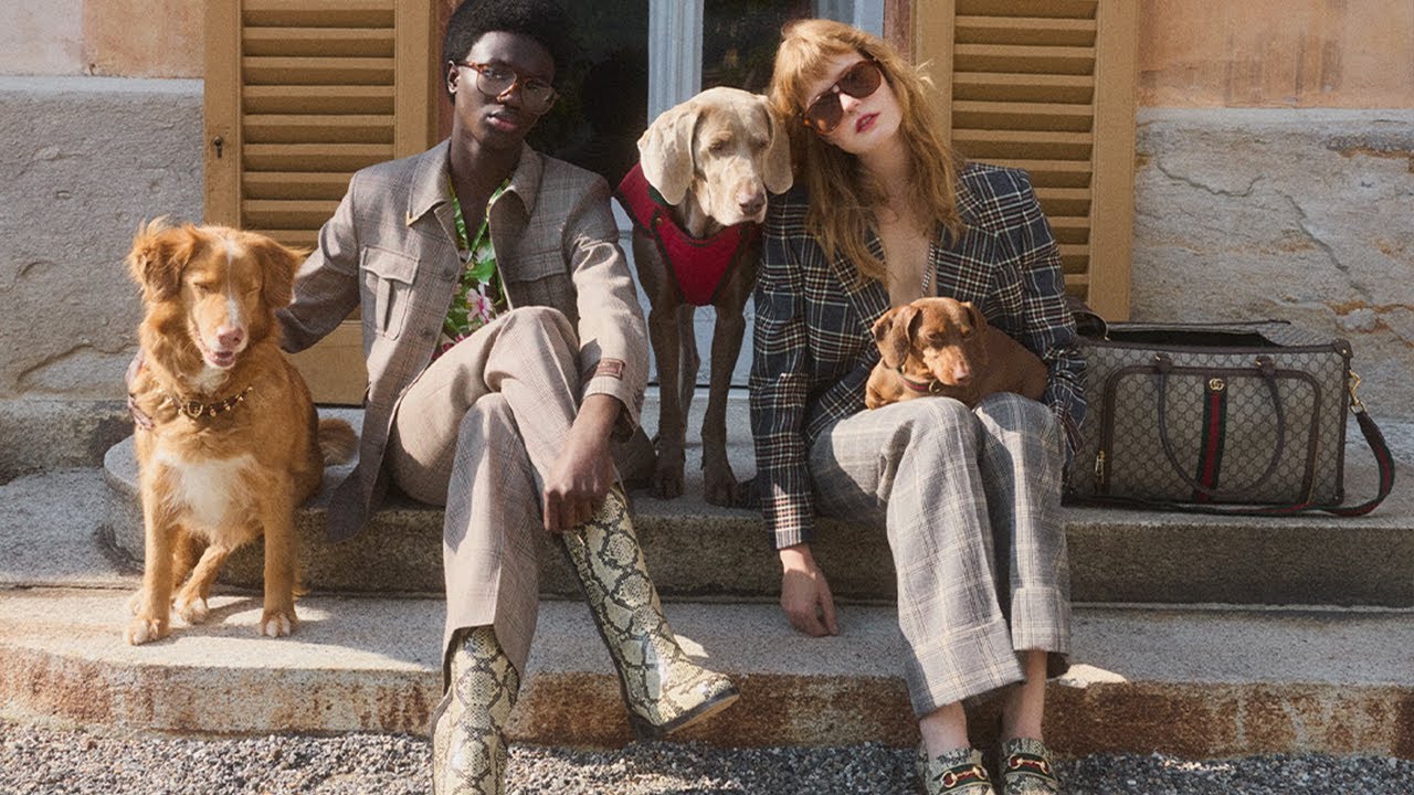 Mytheresa Presents: The Gucci Pet Collection - YouTube