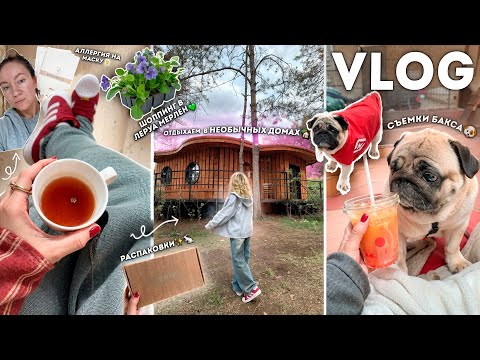 Vlog: Моя Повседневная Жизнь Отдых В Домах, Аллегрия На Маску Шоппинг В Леруа Мерлен, Съемки