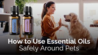 How to Use Essential Oils Safely Around Pets | Dr. Janet Roark & Dr. Brannick Riggs