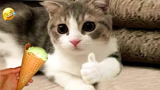 Funny Dogs, Cats and Animals Videos 2023😱Most Trending Animal Videos #16