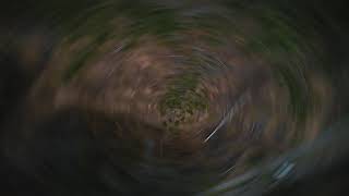 Ticking In Freestylemood For 2021