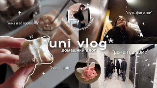 uni vlog; весенний влог // ремонт в доме / треш истории