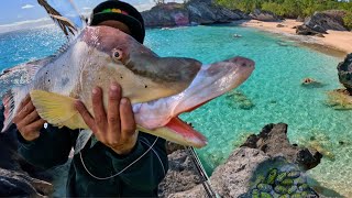 Catching A Giant Hogfish On Another Planet With Extraterrestrial  Bait!