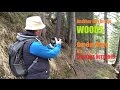 Another day in the woods  fabulous outdoors photography storytelling vlog
