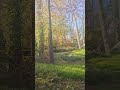 Naturaleza