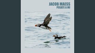Pegate A Mi - Jacob Maess
