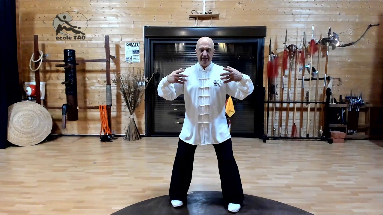 Zhan Zhuang (Qi gong postural) 7ème posture Par Thierry Alibert 7ème Dan FFK