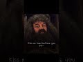 There’s no Hogwart without you Hagrid rest in peace Robbie Coltrane🕊️ ||#fyp#viral#shorts