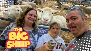 Our First Visit to The Big Sheep Theme Park