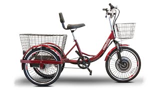 ET05 High quality 22 Inch electric trike lithium battery adult cargo 500W Fat Tire Electric Tricycle