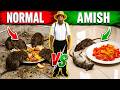 The FORGOTTON Amish way to Get Rid of Mice & Rats Naturally 🐭🚫How to kill rats fast