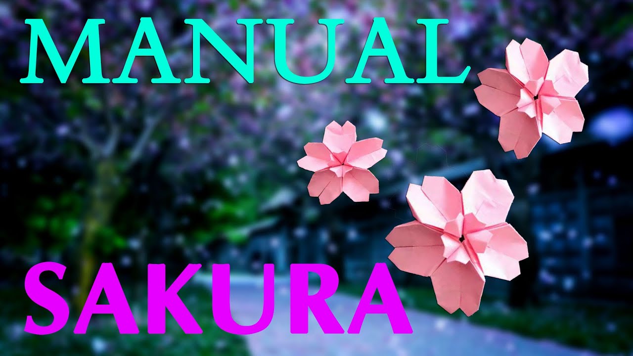Origami Cherry Blossoms Super Simple Origami YouTube