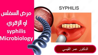 مرض السفلس او الزهري │ syphilis microbiology