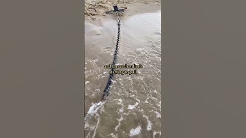 Boat Anchoring Demo: Boating Tips with Bridge Marina #shorts #anchoring