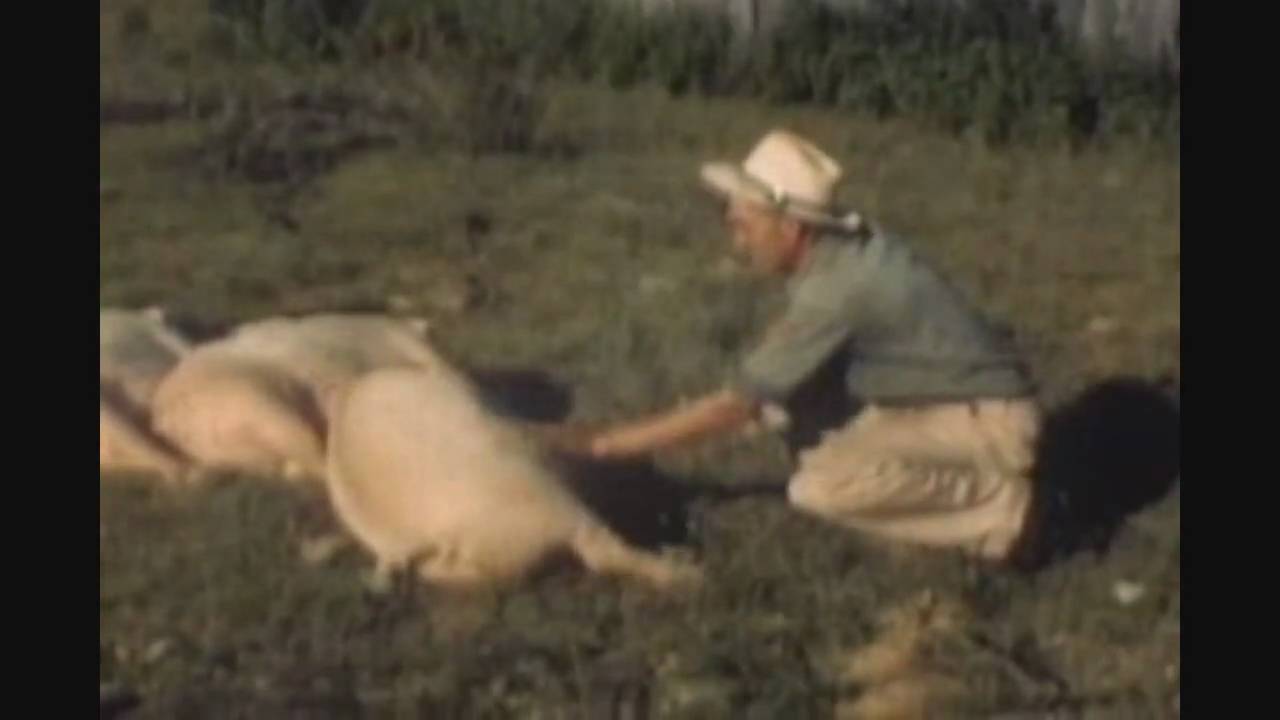 John Morgan Salyer - Vance No More