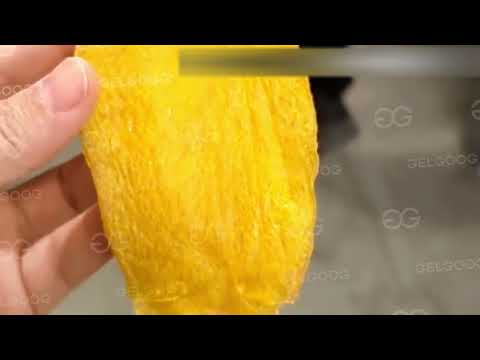 Dried Mango Production Line The Latest Processing Flow