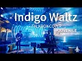 JUVENILE - Indigo Waltz (TALKBOX Cover)