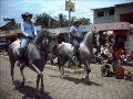 DESFILE HIPICO EL ESTOR,  IZABAL 2011