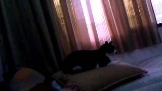 VID 20120327 174323