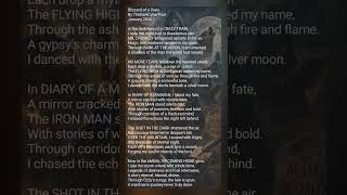 Blizzard Of The Diary